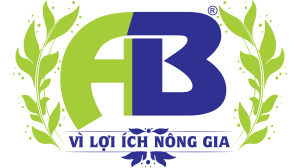 AN BÌNH VN