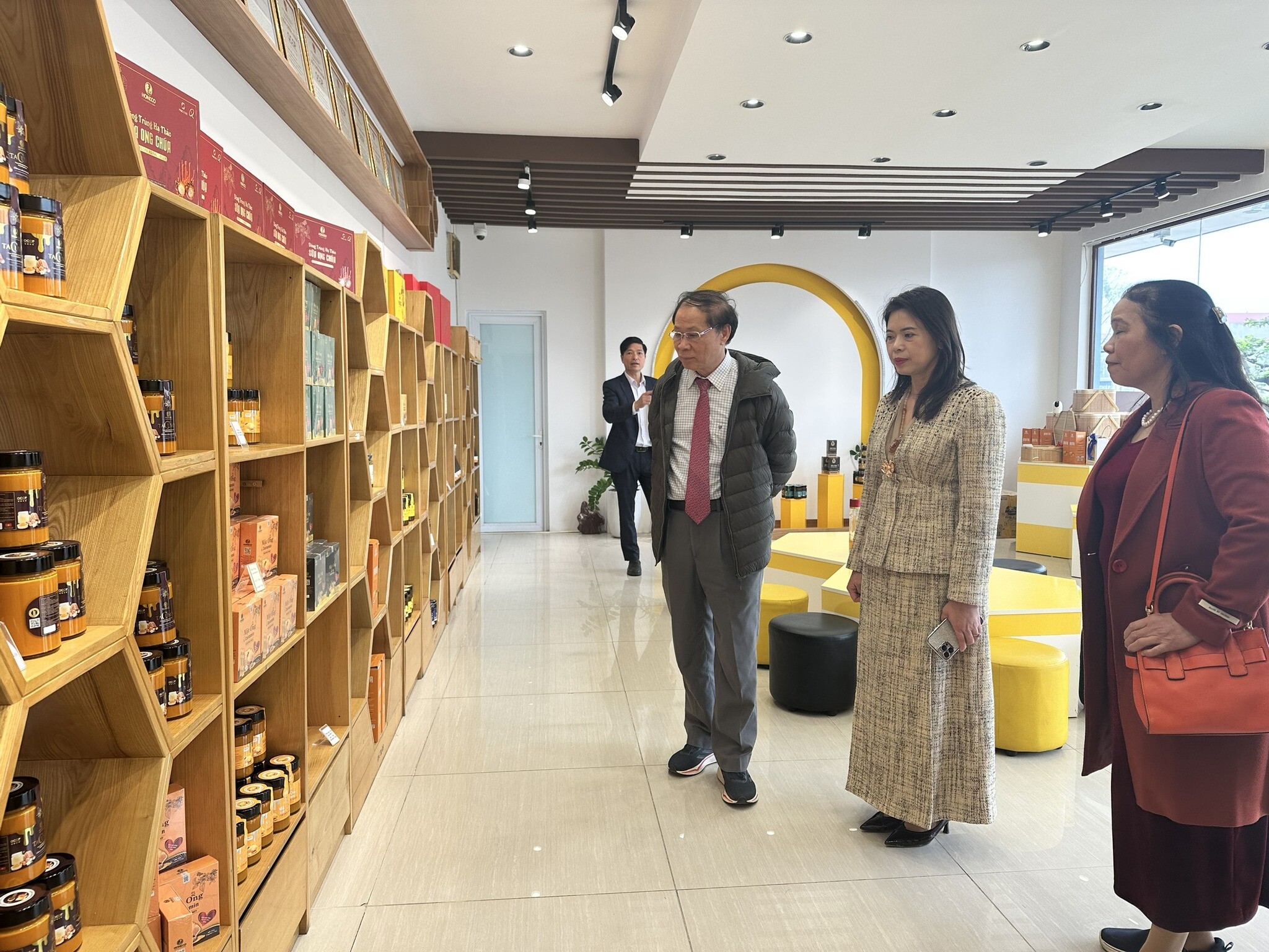 Ong Tam Đảo - HONECO 8