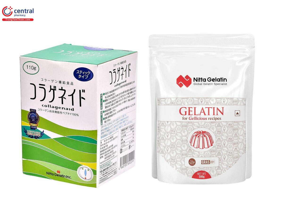 Nitta Gelatin Việt Nam 1