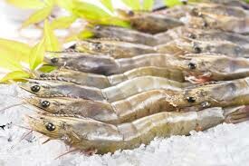 SAVVY SEAFOOD VIETNAM 1