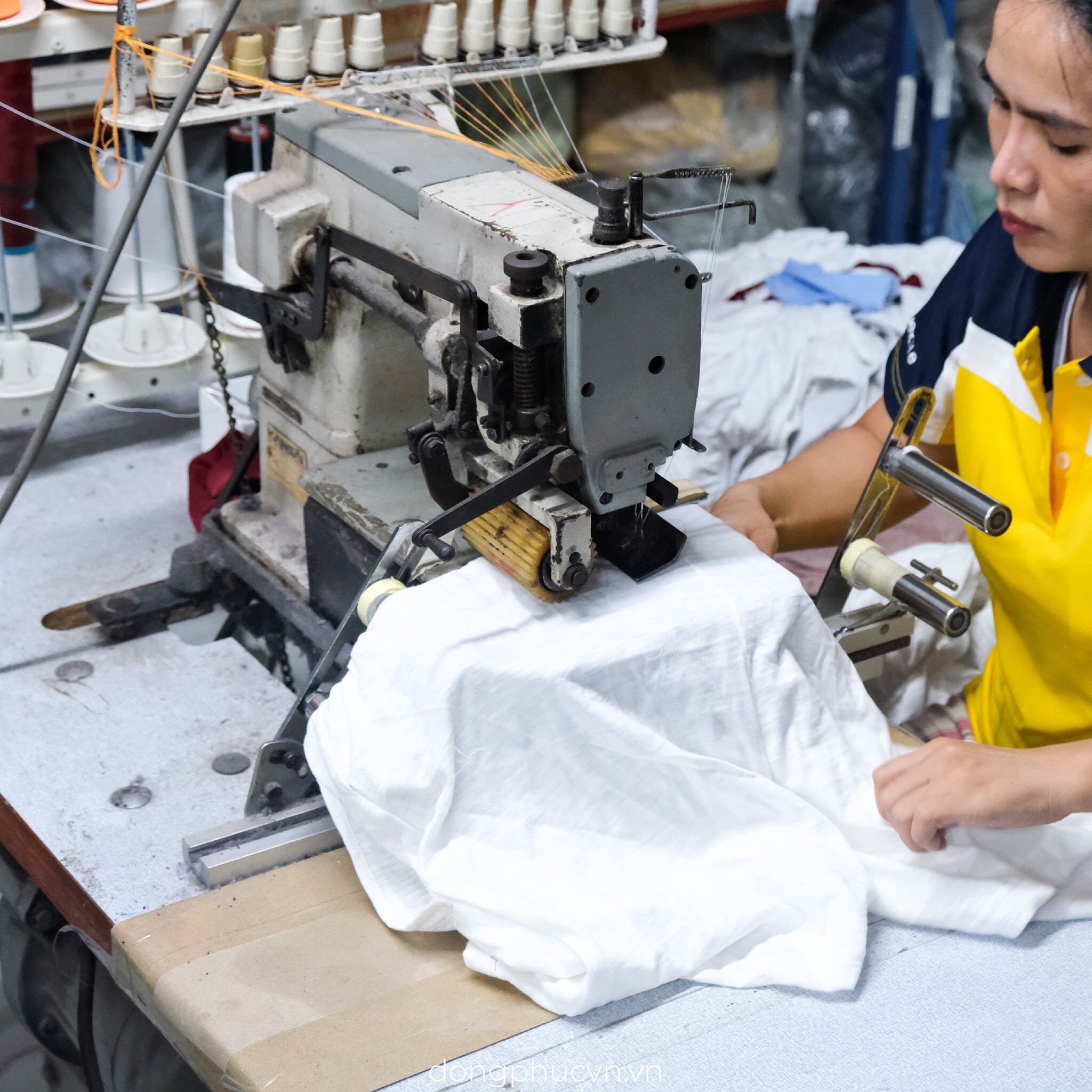 Đồng Phục Tân Phạm Gia 1