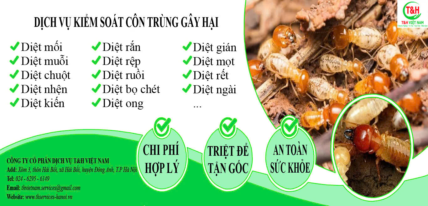 Công Ty Cổ Phần Dịch Vụ T&H Việt Nam 4