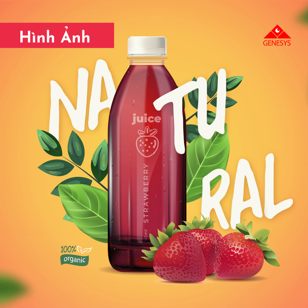 Công ty CP Genesys 3