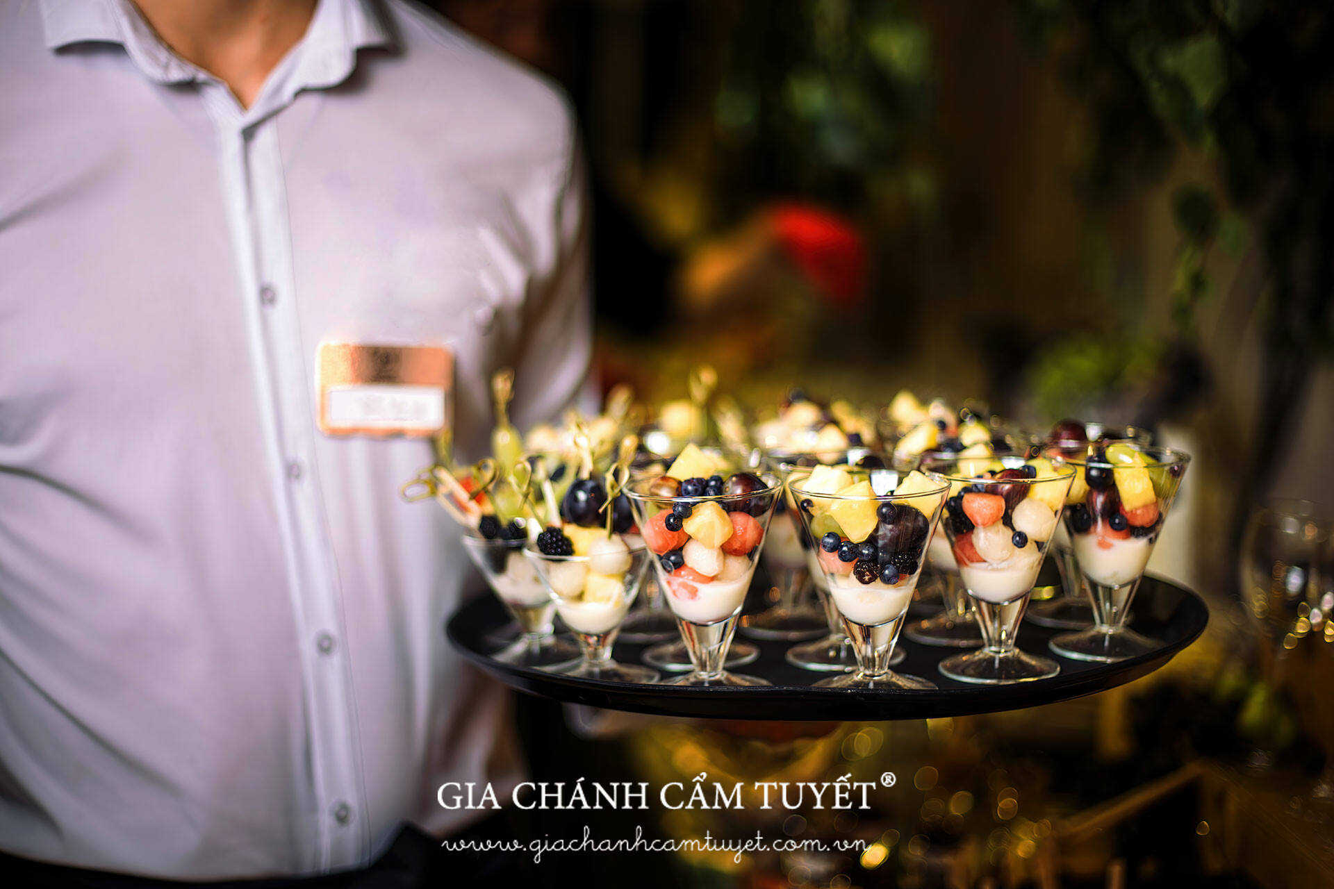 Gia Chánh Cẩm Tuyết 1