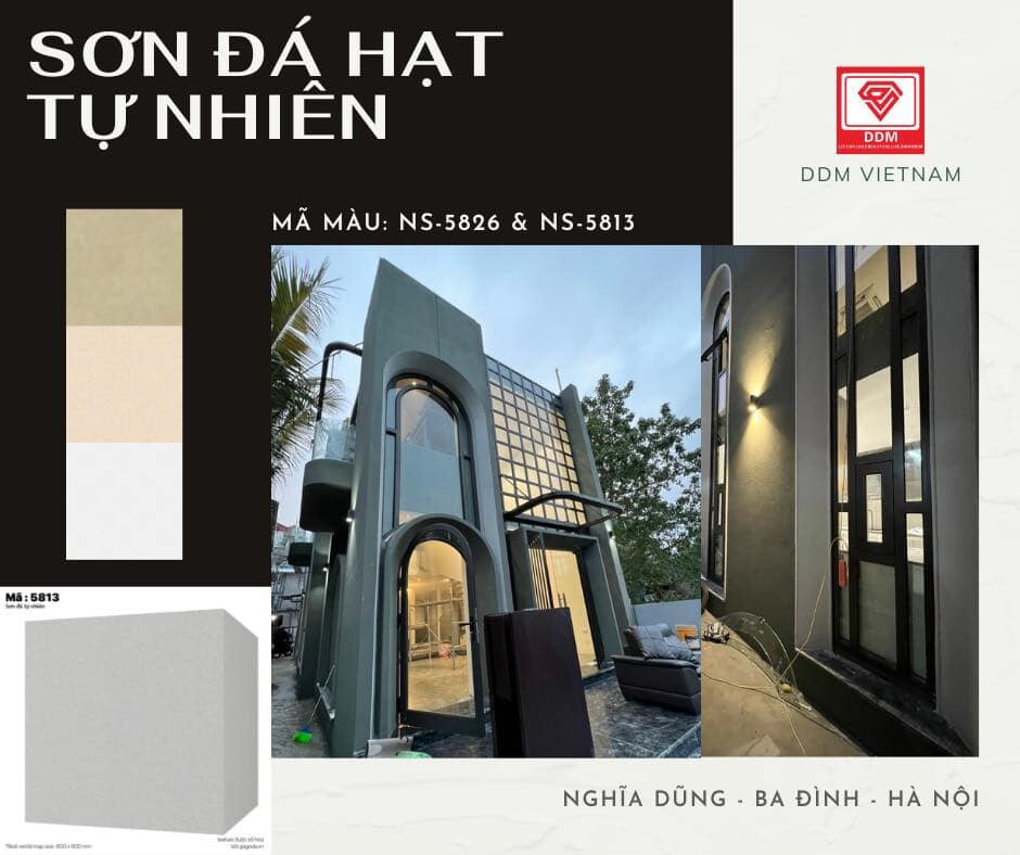 SƠN DDM 5