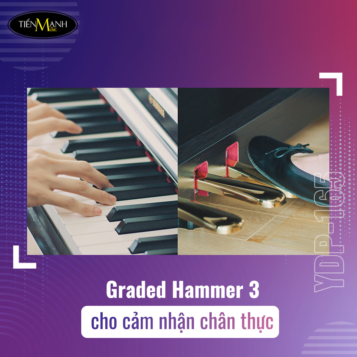 Nhạc Cụ Tiến Mạnh 4