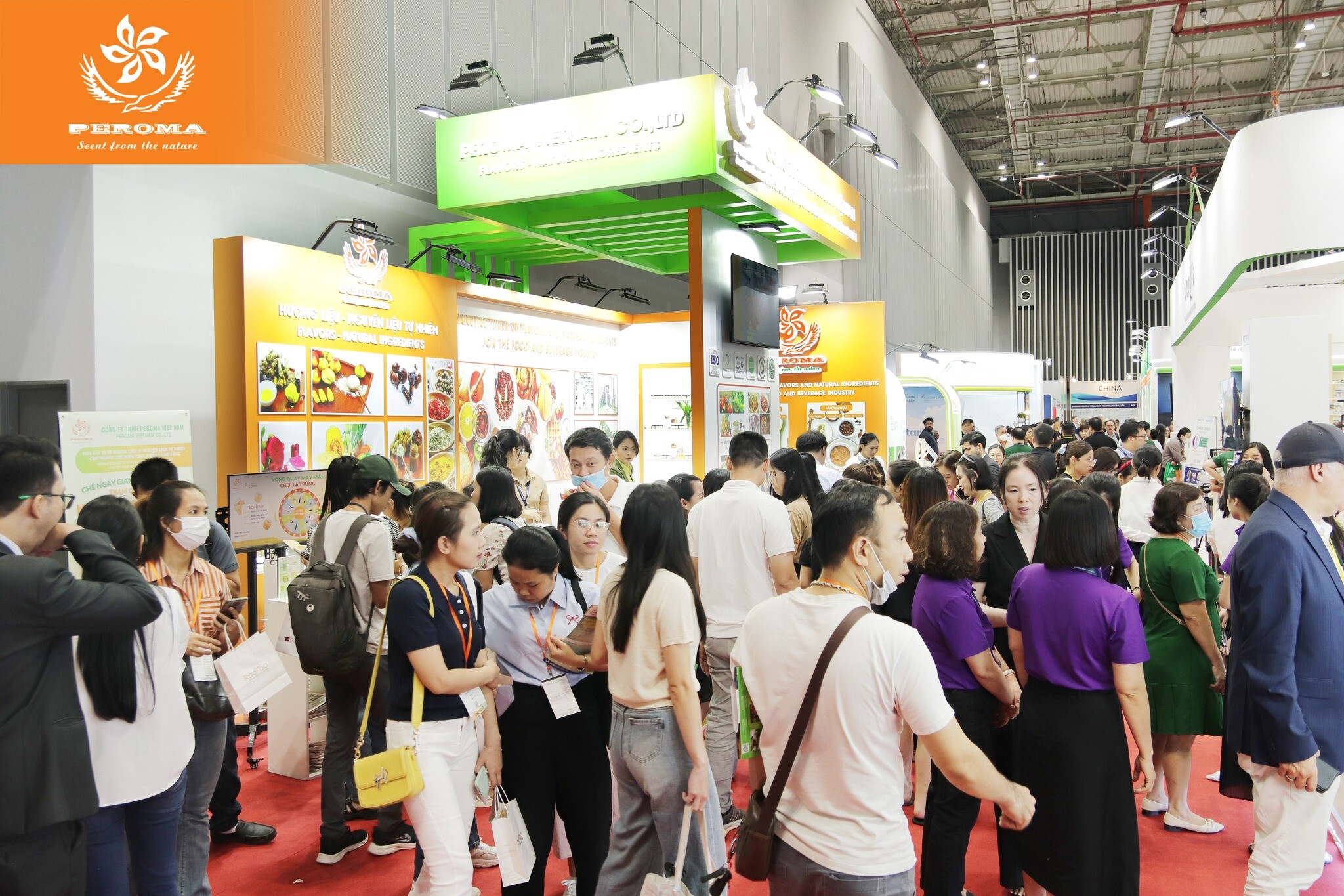 PEROMA Việt Nam 6