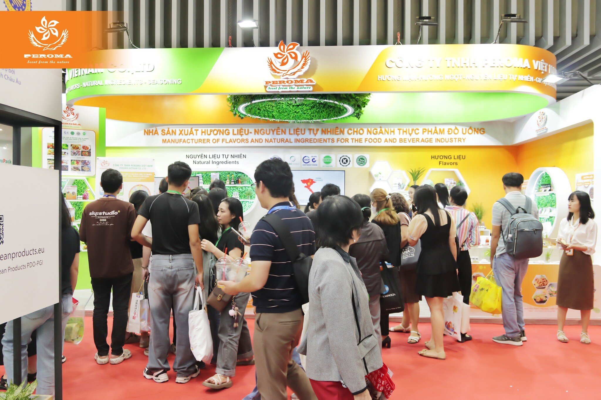PEROMA Việt Nam 3