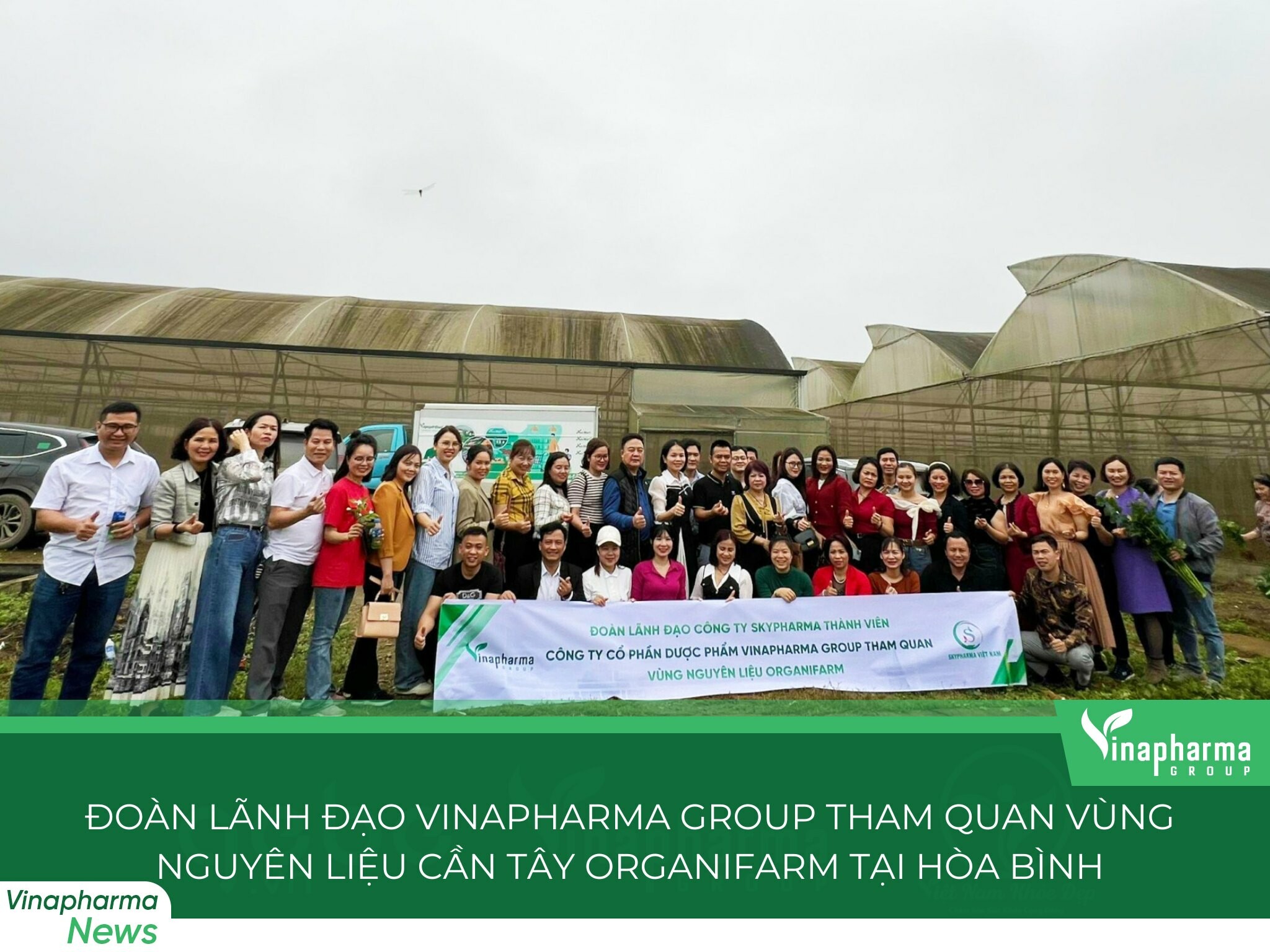 Dược Phẩm Vinapharma - Group 6