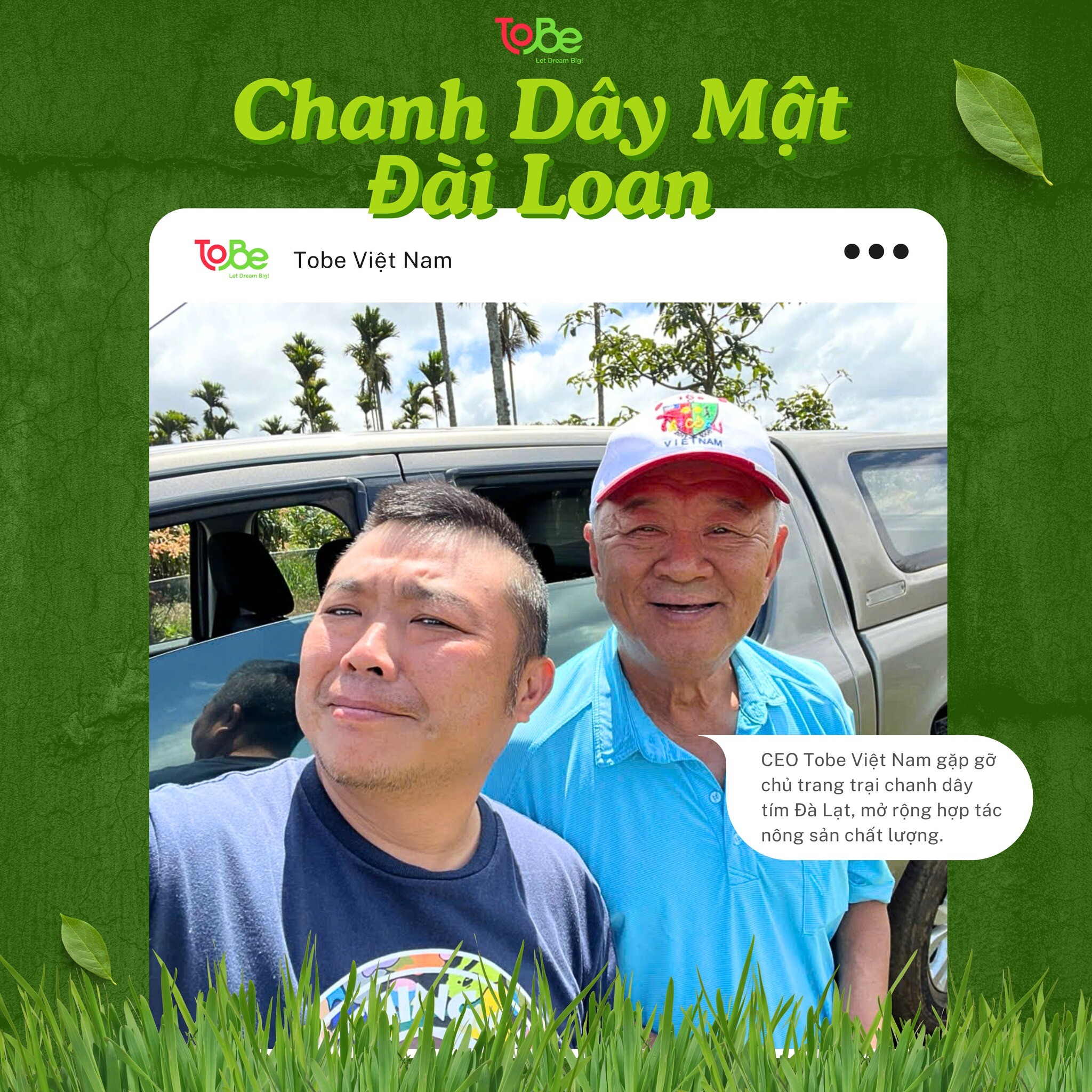 THƯƠNG MẠI DỊCH VỤ TOBE 7