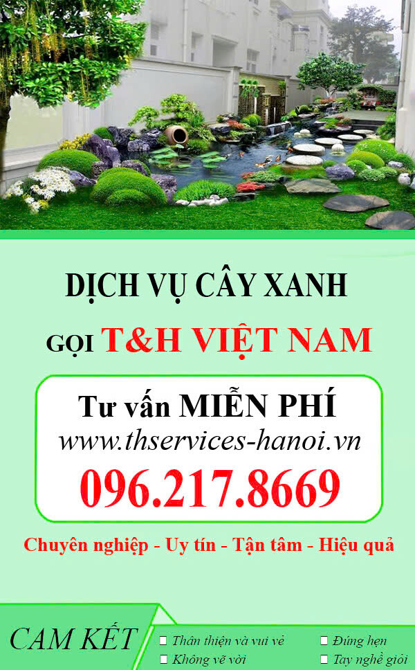 Công Ty Cổ Phần Dịch Vụ T&H Việt Nam 5