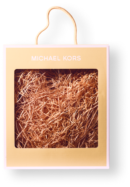 GOODBOX INTERNATIONAL CO., LTD 4