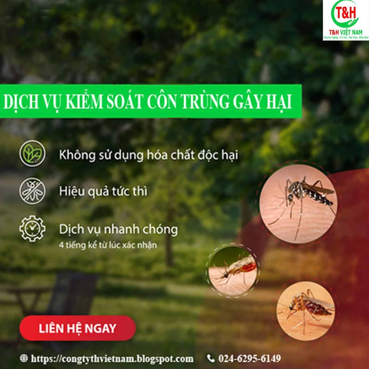 Công Ty Cổ Phần Dịch Vụ T&H Việt Nam 7