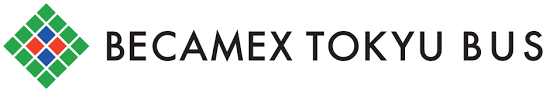 Becamex Tokyu 2