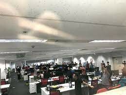 Extreme Việt Nam 1