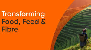 Olam Global Agri Việt Nam 2