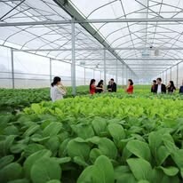 Watanabe Pipe Việt Nam 1