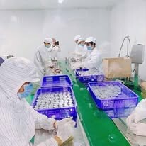 Xuất Nhập Khẩu Mạnh Phát 1