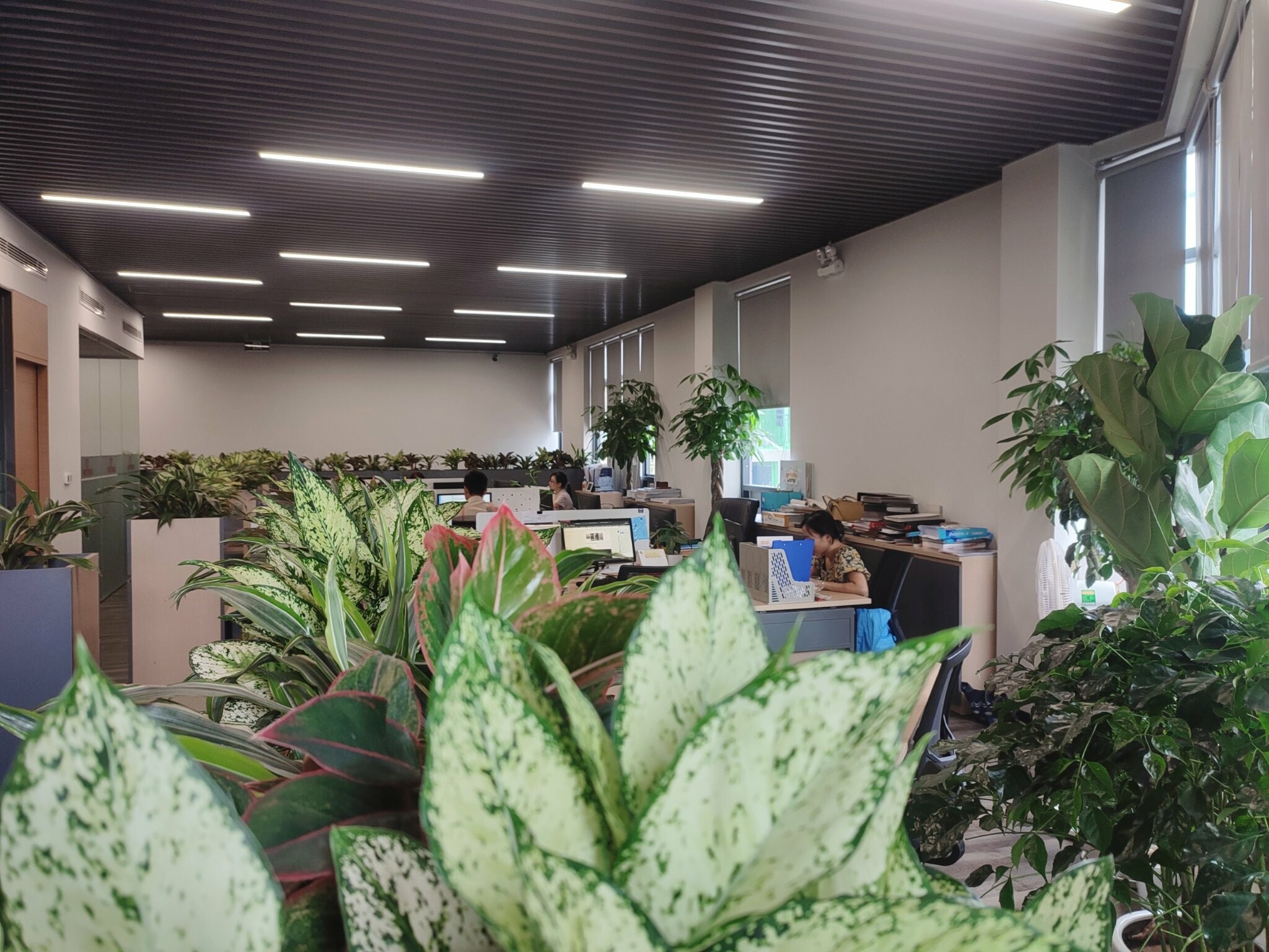 Đầu tư và Phát Triển Visun Holdings 3