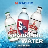 XUẤT NHẬP KHẨU M- PACIFIC 2