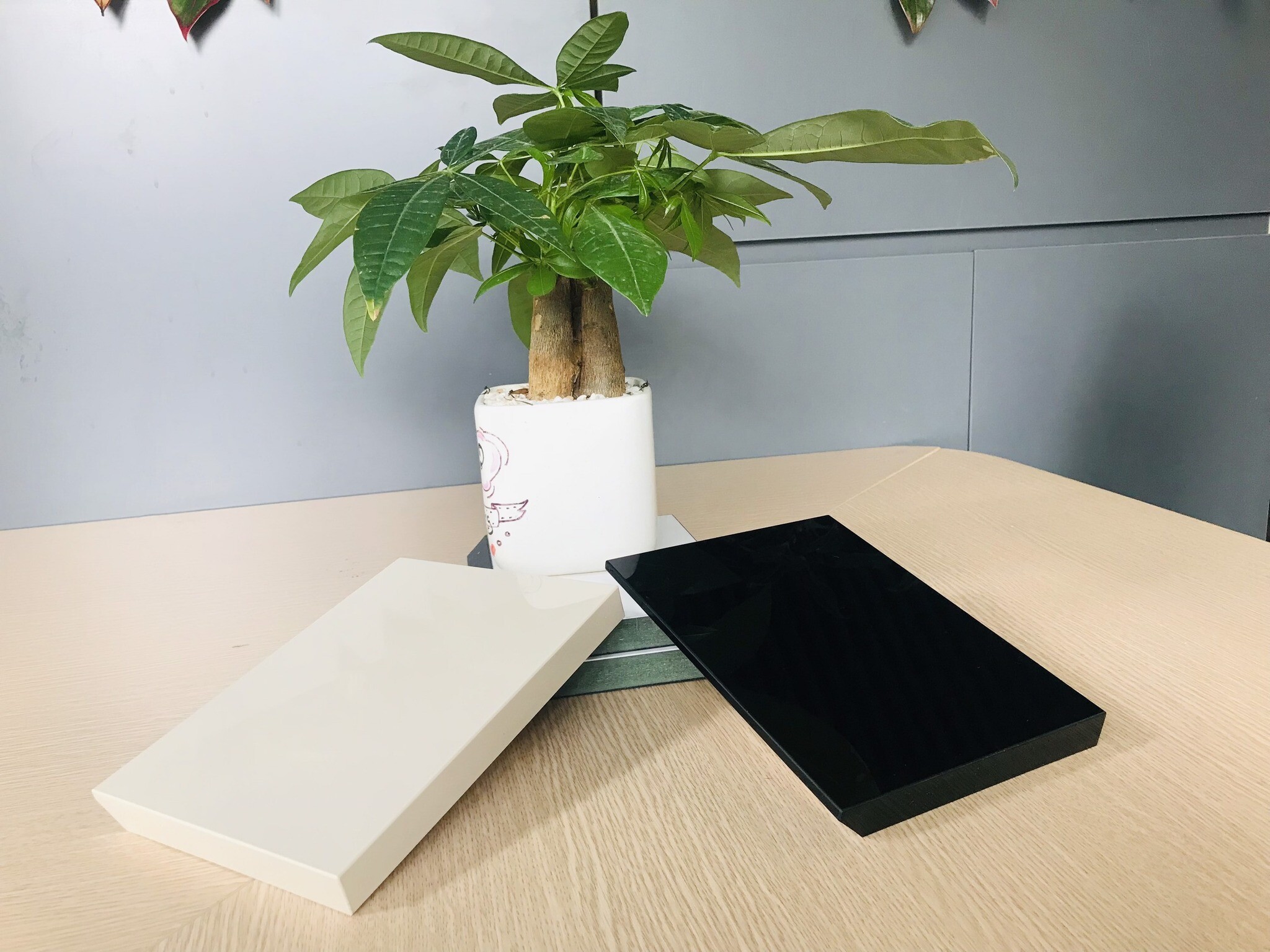 Đầu tư và Phát Triển Visun Holdings 5