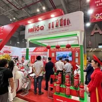 Fire Front Việt Nam 1