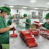 Xuất Nhập Khẩu Mạnh Phát 3