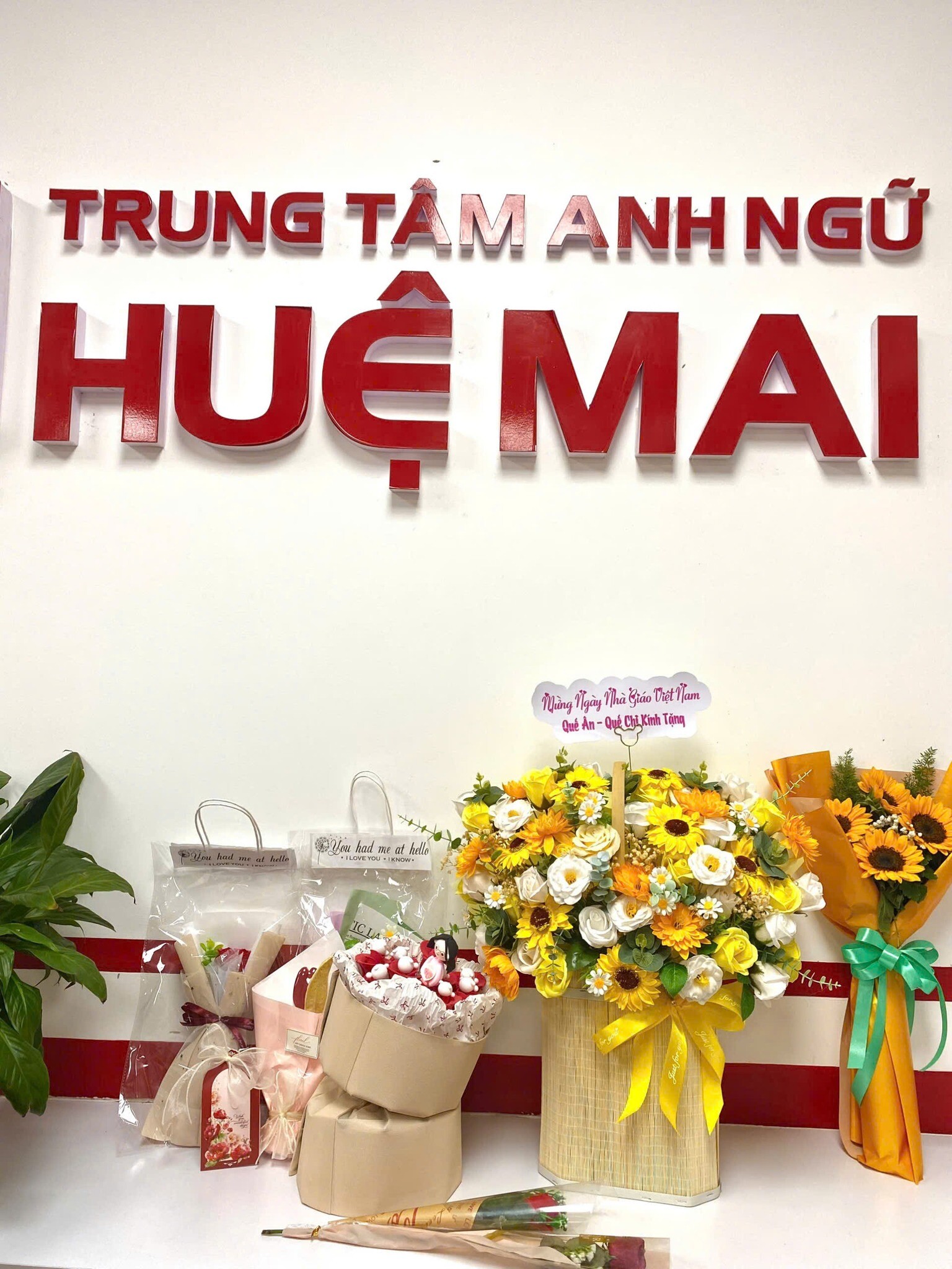 ANH NGỮ HUỆ MAI 1