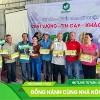 XUẤT NHẬP KHẨU IDA GLOBAL 6