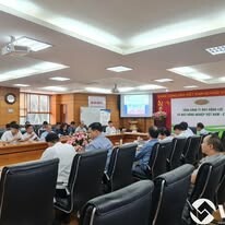Tư vấn cải tiến VJIP 3