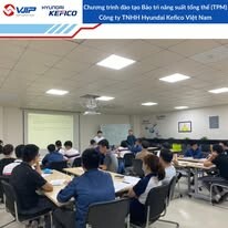 Tư vấn cải tiến VJIP 6