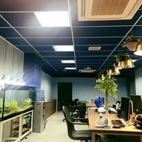 GCD - Golden Coin Digital 1