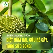 Công ty Cổ phần Nông nghiệp hữu cơ bền vững Sofa 1