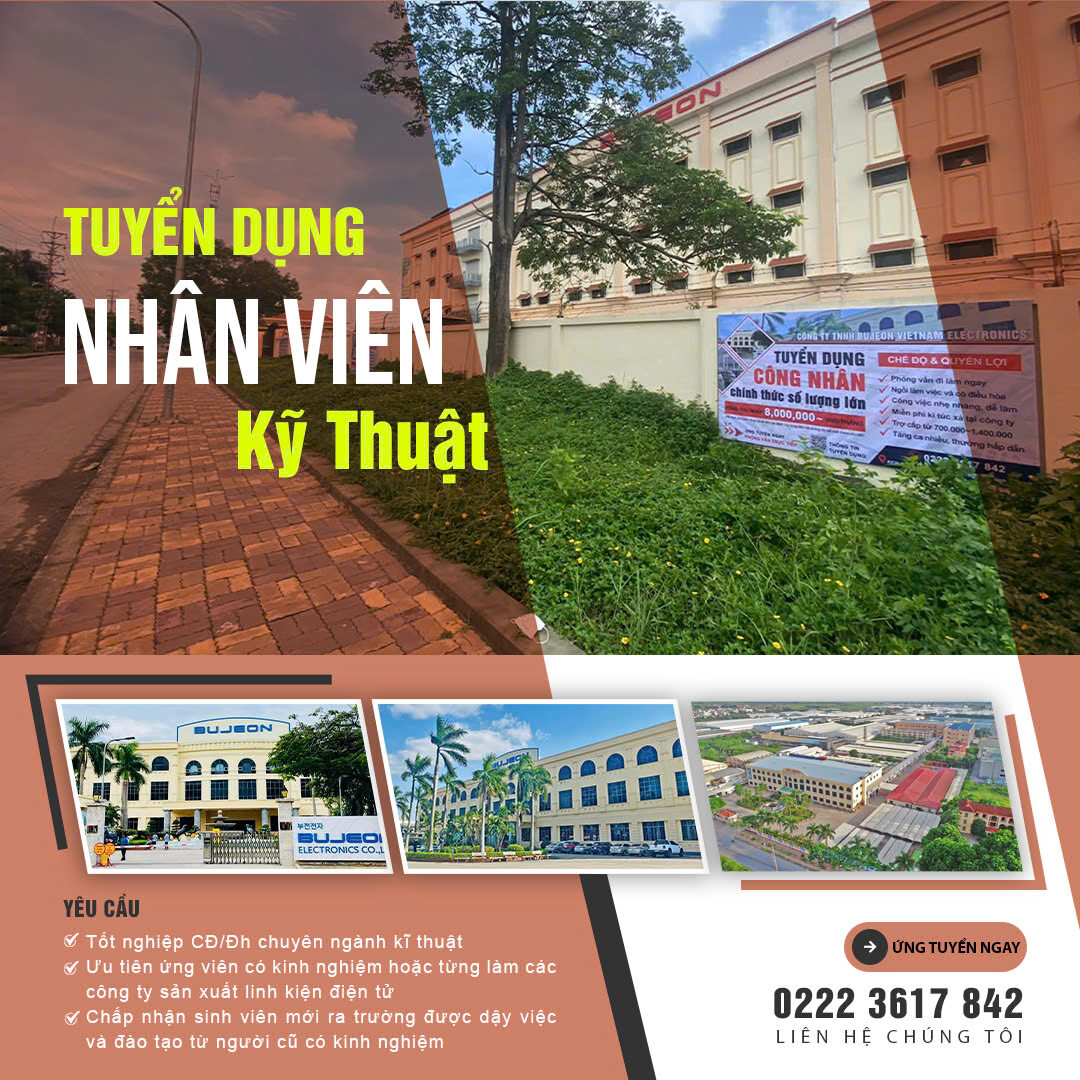 Bujeon Vietnam Electronics 1