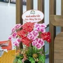 ĐẦU TƯ XÂY DỰNG NHÀ MIỀN TÂY 8