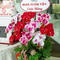 ĐẦU TƯ XÂY DỰNG NHÀ MIỀN TÂY 10