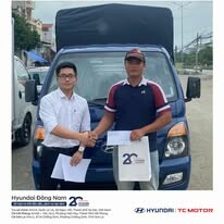 HYUNDAI ĐÔNG NAM 8