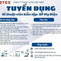 LOTES VIỆT NAM 6