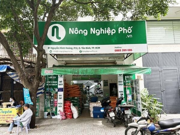 P3T (HỆ THỐNG CH NÔNG NGHIỆP PHỐ) 4