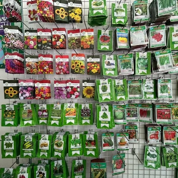 P3T (HỆ THỐNG CH NÔNG NGHIỆP PHỐ) 3