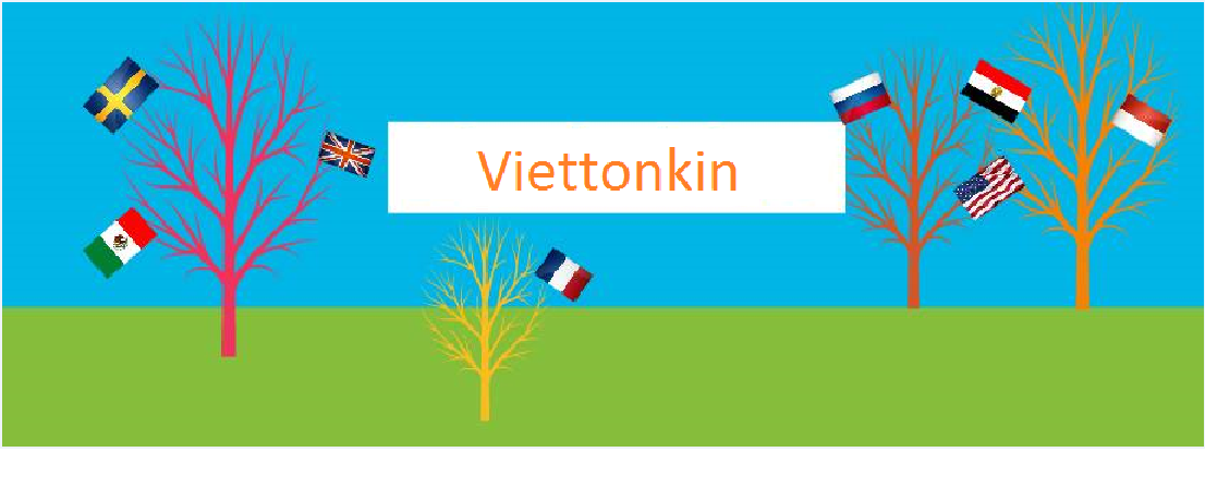 Viettonkin Consulting 8