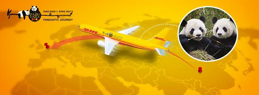 Công ty TNHH DV Chuỗi cung ứng DHL (Vietnam) 4