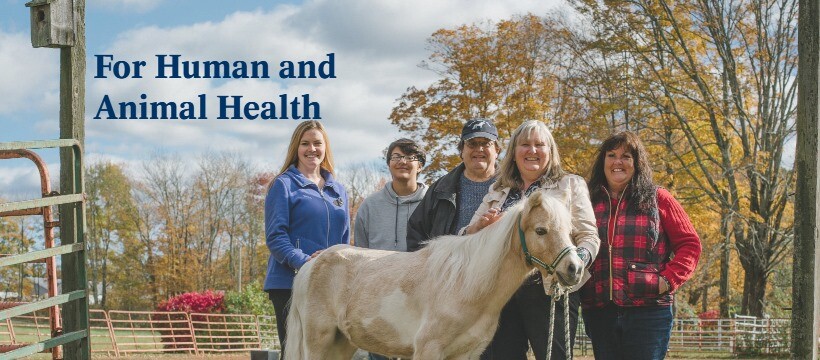 Boehringer Ingelheim 2