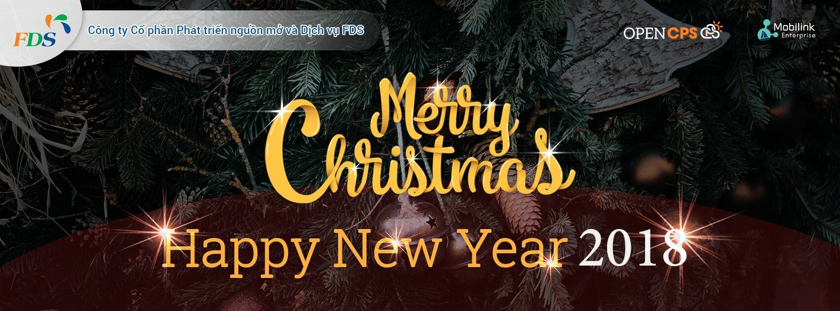 phát triển nguồn mở và dịch vụ FDS 2