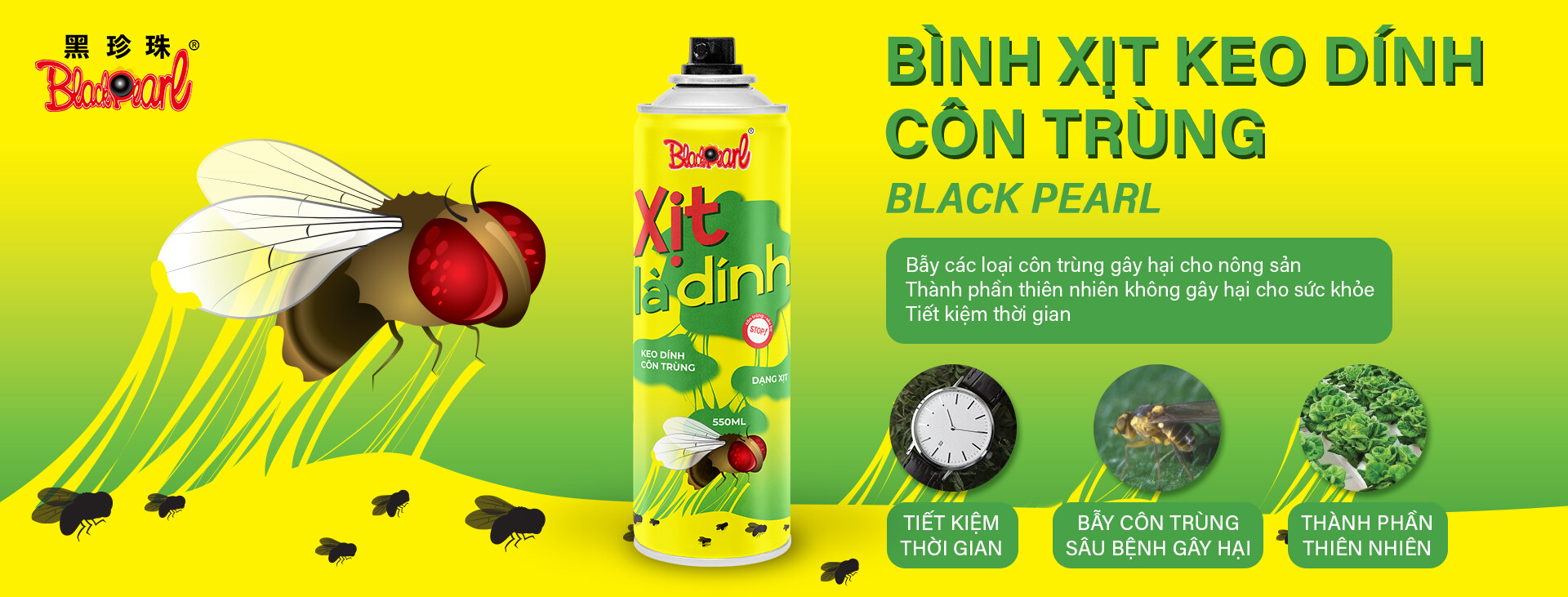 Blackpearl Việt Nam 10