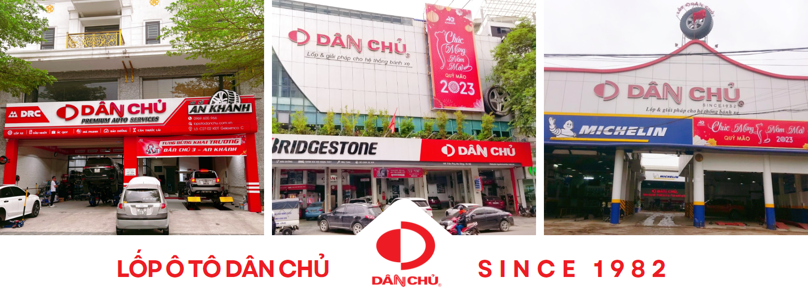 Dân Chủ 10