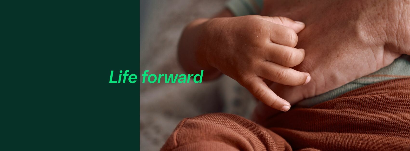 Boehringer Ingelheim 3