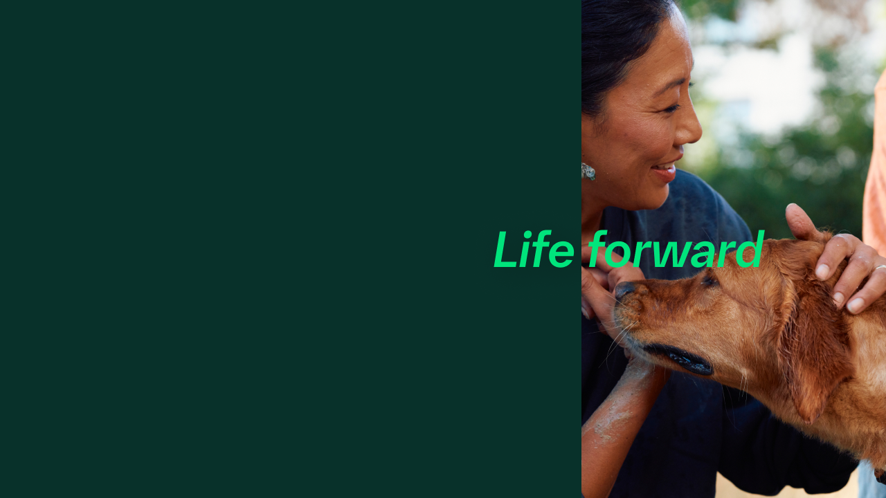 Boehringer Ingelheim 4