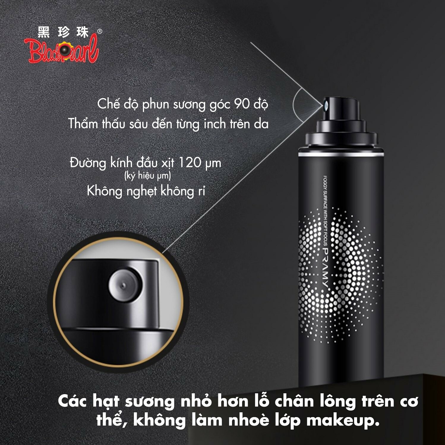 Blackpearl Việt Nam 2