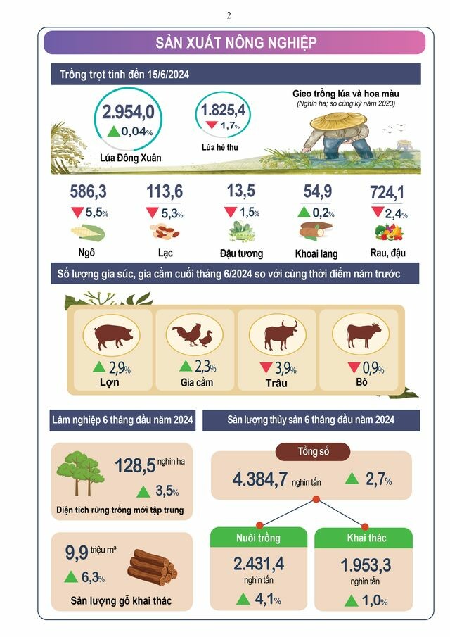 Kiểm Toán Châu Á (asa) 4